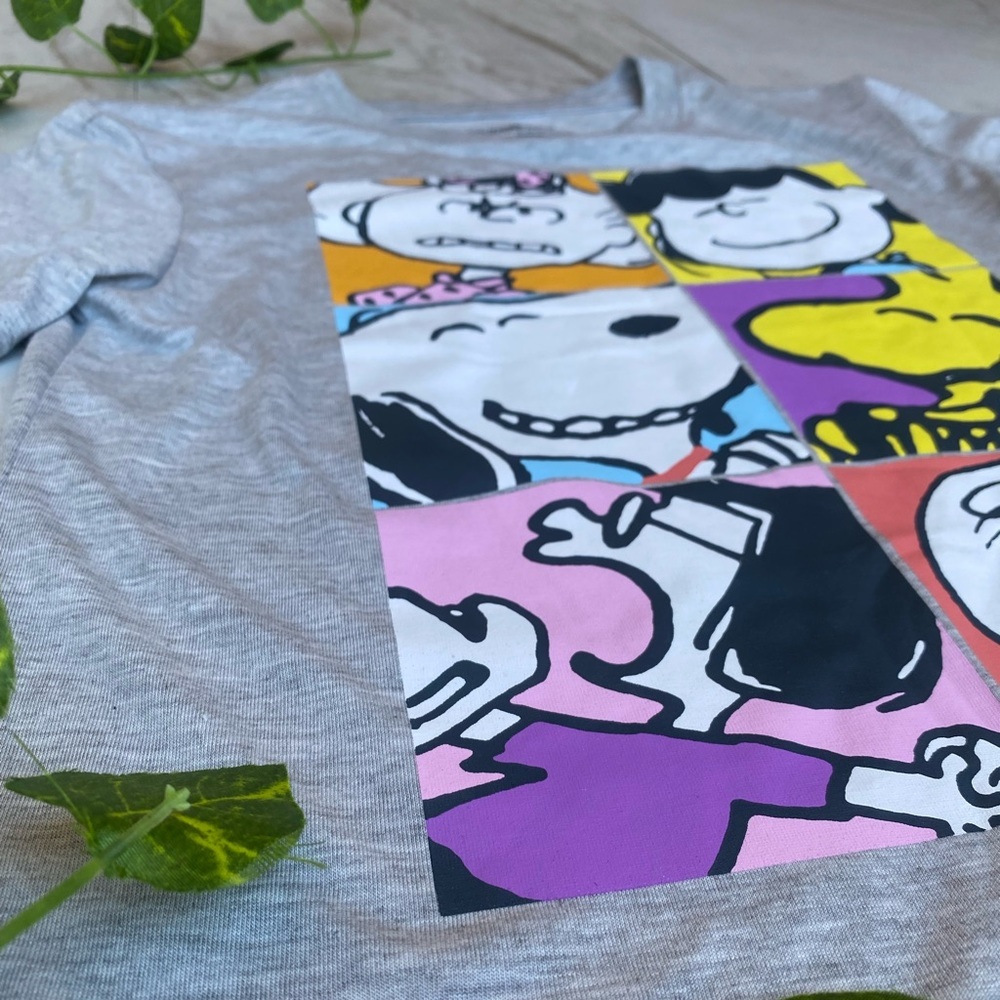 Peanuts Snoopy Woodstock Charlie Brown Shirt XS NWT Gray Knotts Berry Farm Tee - Picture 4 of 9